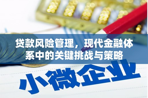 西螺贷款风险管理，现代金融体系中的关键挑战与策略