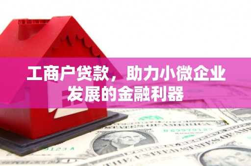 墨竹工卡工商户贷款，助力小微企业发展的金融利器