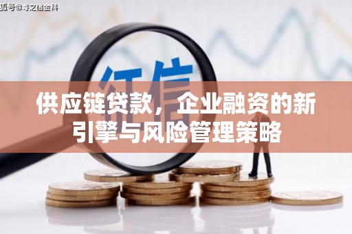 达仁供应链贷款，企业融资的新引擎与风险管理策略