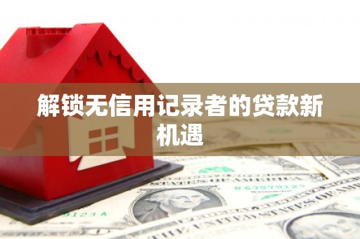 禹城解锁无信用记录者的贷款新机遇