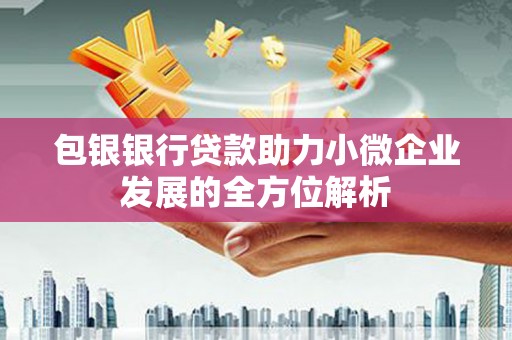 水城包银银行贷款助力小微企业发展的全方位解析