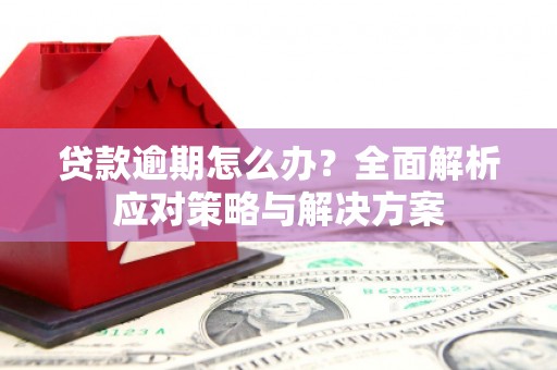 海沧贷款逾期怎么办？全面解析应对策略与解决方案