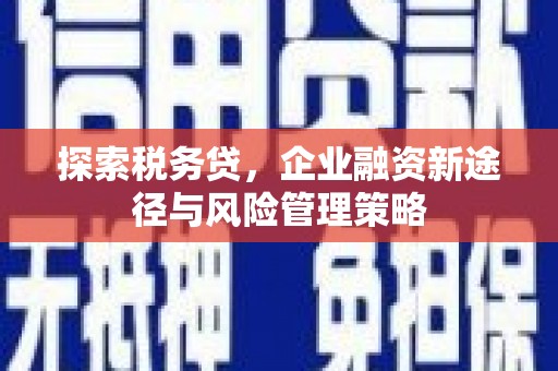 奎屯探索税务贷，企业融资新途径与风险管理策略