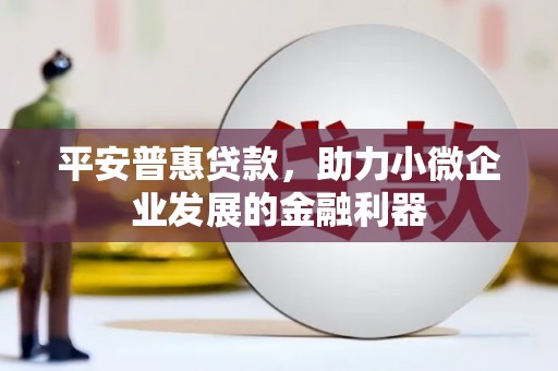 理县平安普惠贷款，助力小微企业发展的金融利器