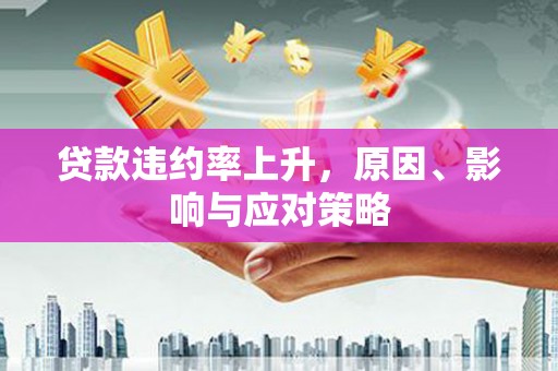 云龙贷款违约率上升，原因、影响与应对策略