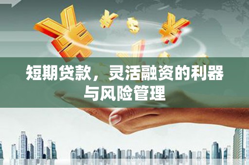 德钦短期贷款，灵活融资的利器与风险管理