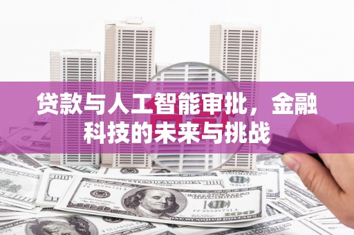 巴青贷款与人工智能审批，金融科技的未来与挑战