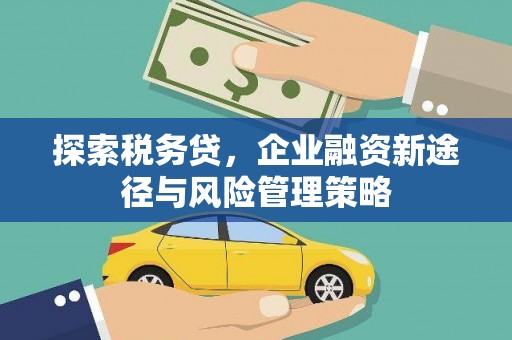 雄安新区探索税务贷，企业融资新途径与风险管理策略