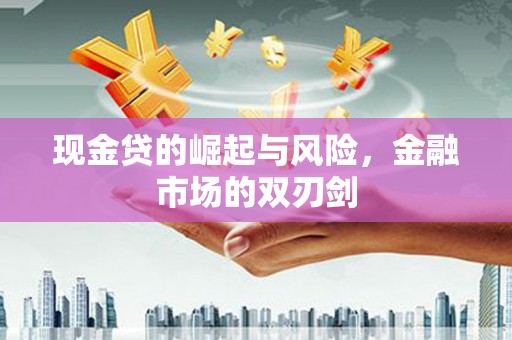 普兰现金贷的崛起与风险，金融市场的双刃剑