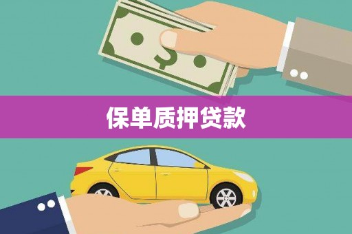 鄂托克旗保单质押贷款