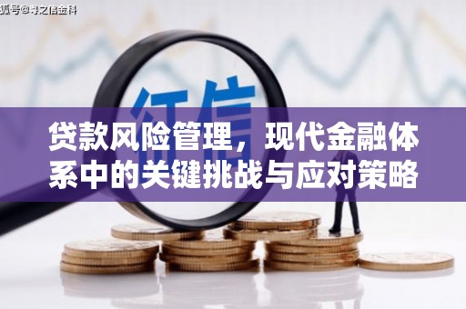 香港岛贷款风险管理，现代金融体系中的关键挑战与应对策略