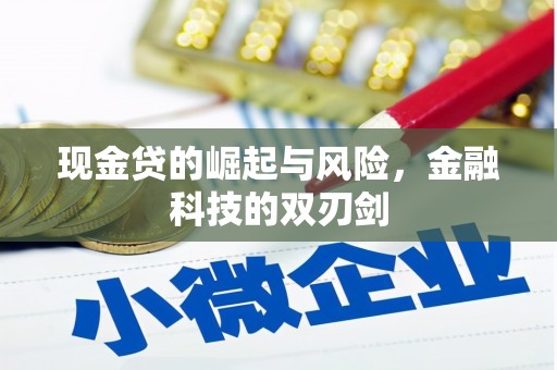 南溪现金贷的崛起与风险，金融科技的双刃剑