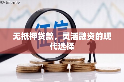 叶县无抵押贷款，灵活融资的现代选择