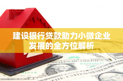 头份建设银行贷款助力小微企业发展的全方位解析