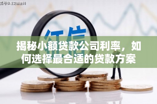 洮南揭秘小额贷款公司利率，如何选择最合适的贷款方案