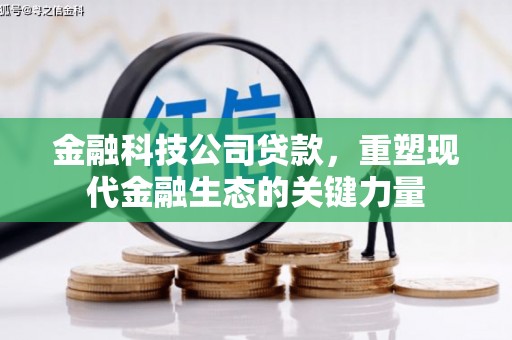 班玛金融科技公司贷款，重塑现代金融生态的关键力量