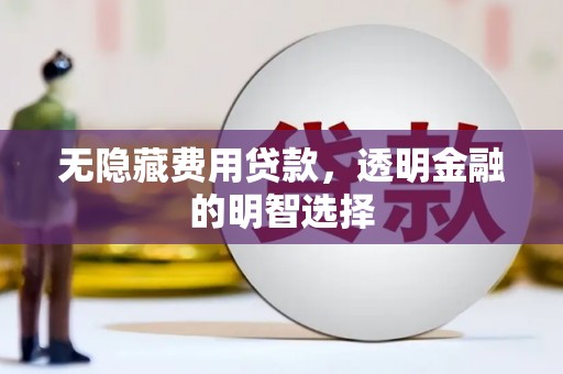 洋山无隐藏费用贷款，透明金融的明智选择