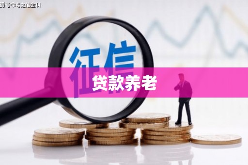 湖口贷款养老