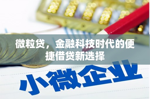 延津微粒贷，金融科技时代的便捷借贷新选择