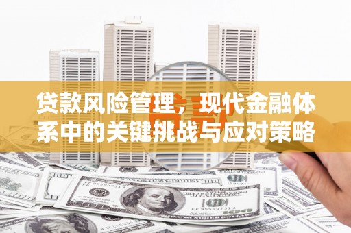 武宣贷款风险管理，现代金融体系中的关键挑战与应对策略