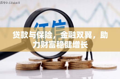 无为贷款与保险，金融双翼，助力财富稳健增长