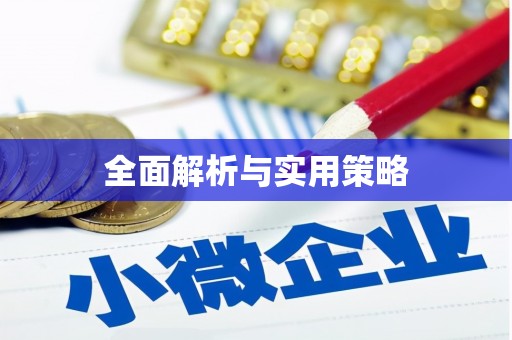 朔城全面解析与实用策略