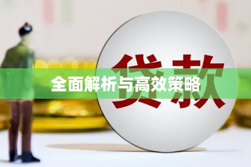 保定全面解析与高效策略