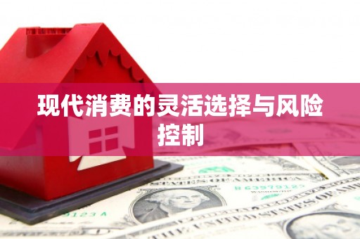 新晃现代消费的灵活选择与风险控制