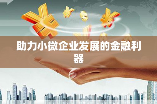 莎车助力小微企业发展的金融利器