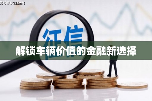 镇康解锁车辆价值的金融新选择