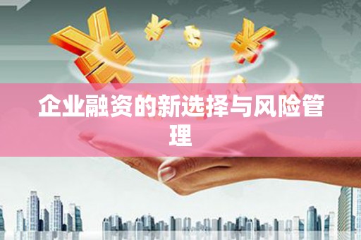 宏伟企业融资的新选择与风险管理