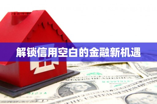 盐埕解锁信用空白的金融新机遇