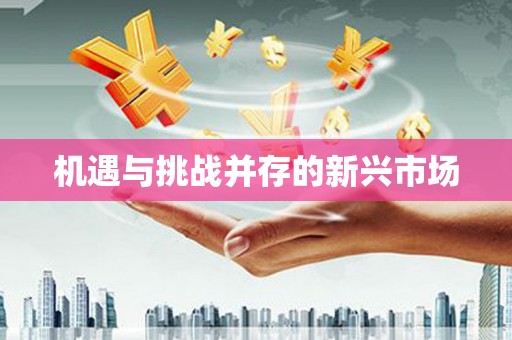 伊春机遇与挑战并存的新兴市场
