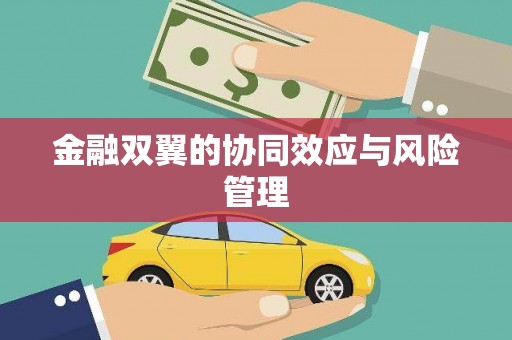 白山金融双翼的协同效应与风险管理