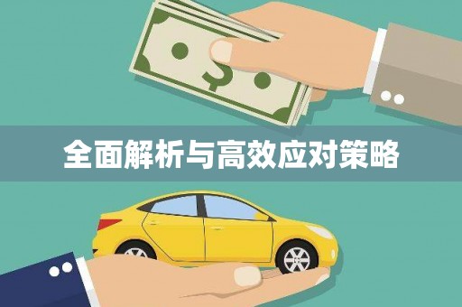 绥阳全面解析与高效应对策略