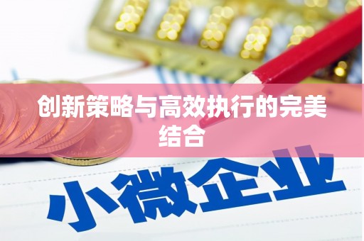 万峦创新策略与高效执行的完美结合
